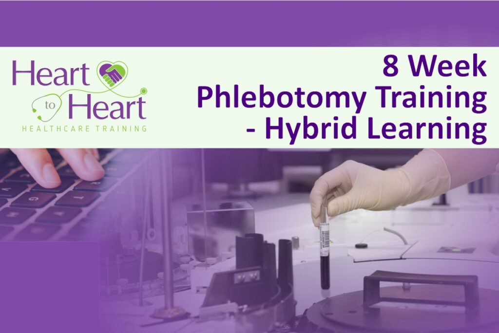 8 week phlebotomy training